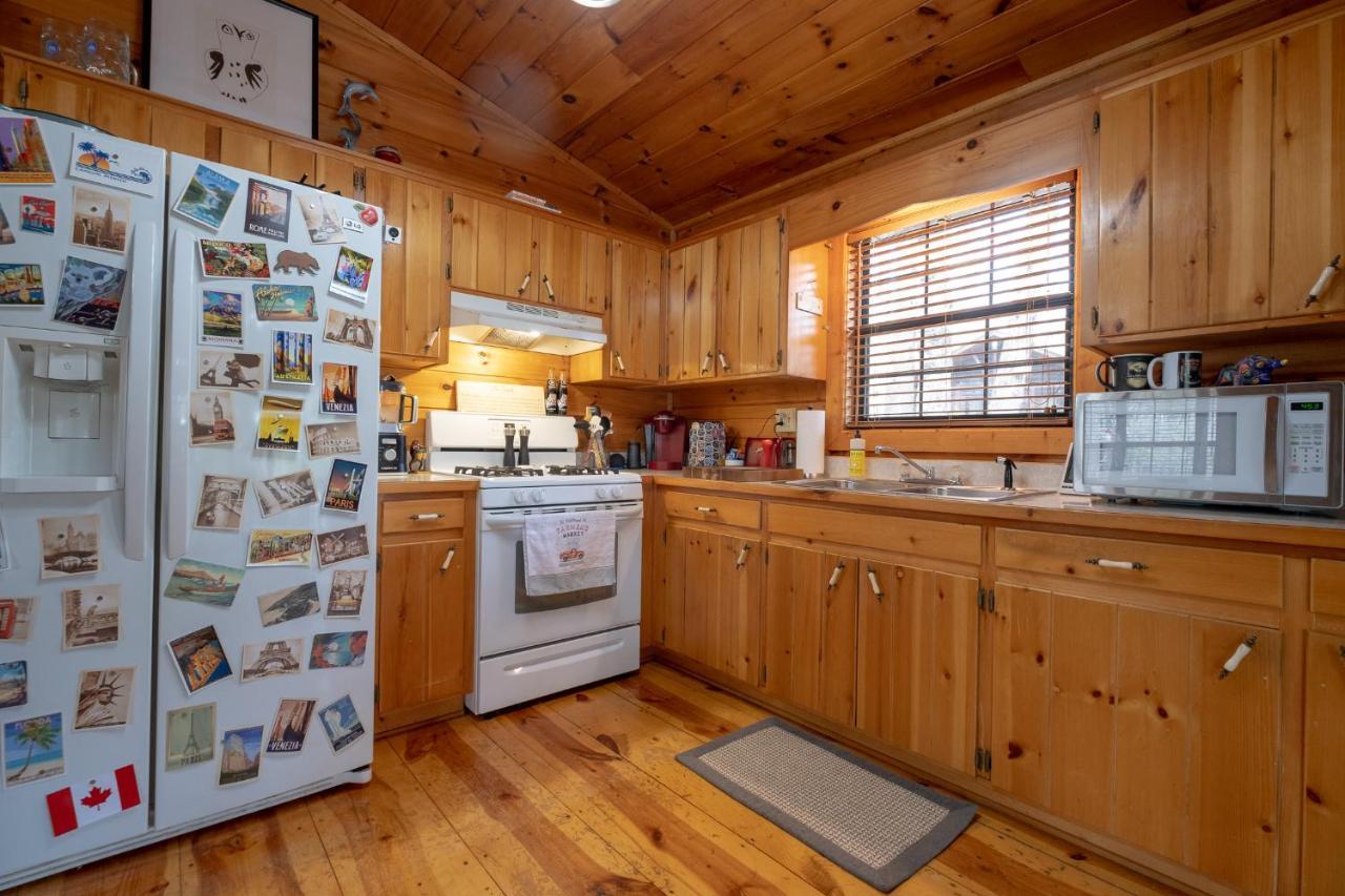 Three Dog Night - Pet-Friendly Cabin With Hot Tub Villa Блу Ридж Екстериор снимка