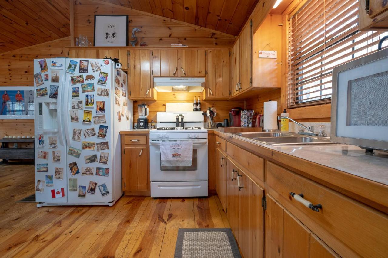 Three Dog Night - Pet-Friendly Cabin With Hot Tub Villa Блу Ридж Екстериор снимка