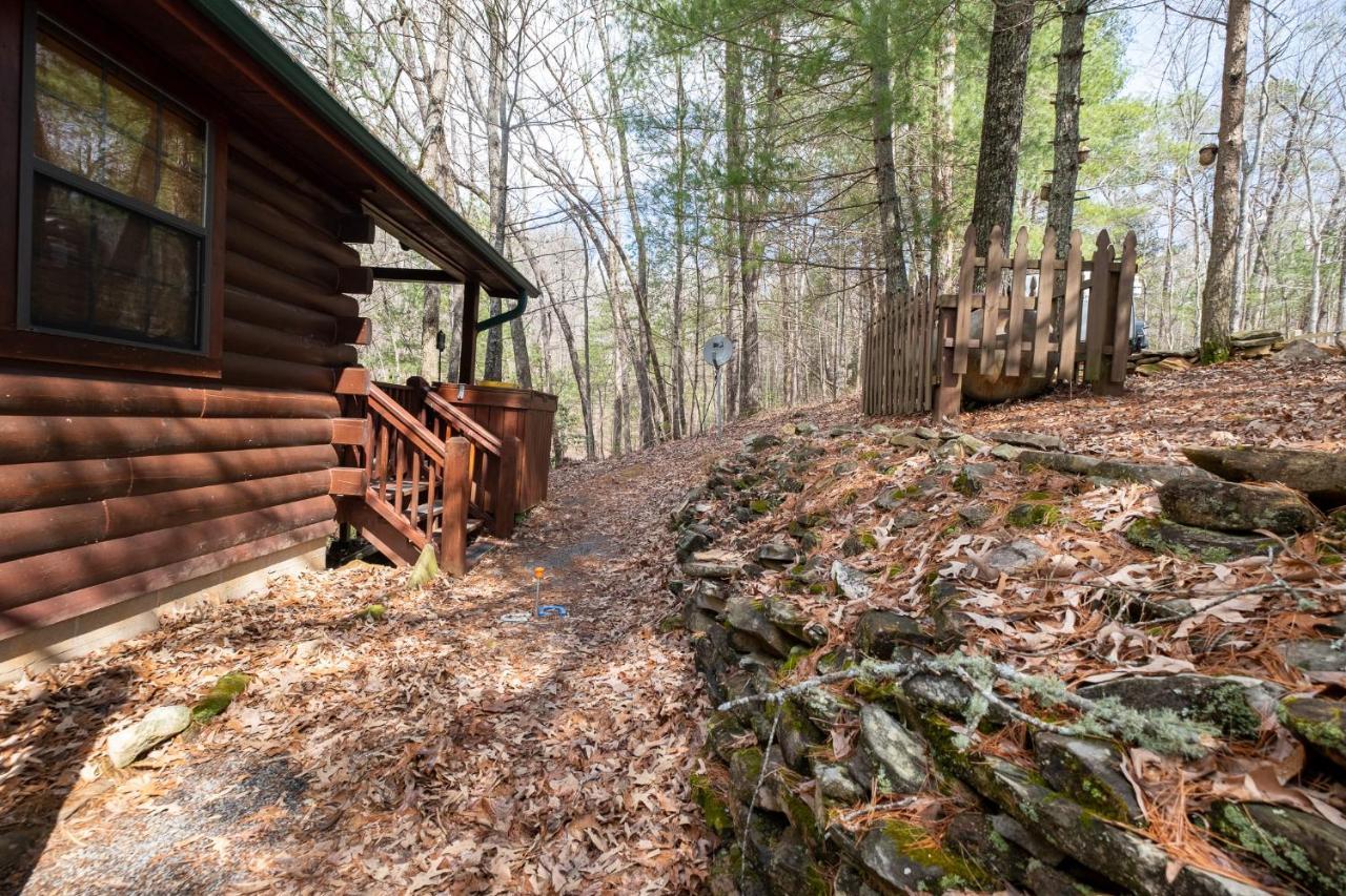 Three Dog Night - Pet-Friendly Cabin With Hot Tub Villa Блу Ридж Екстериор снимка